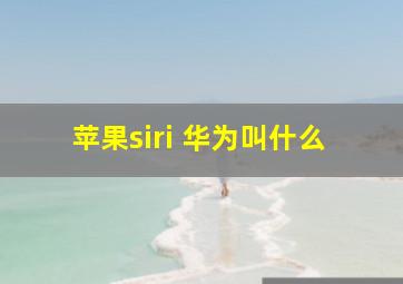 苹果siri 华为叫什么